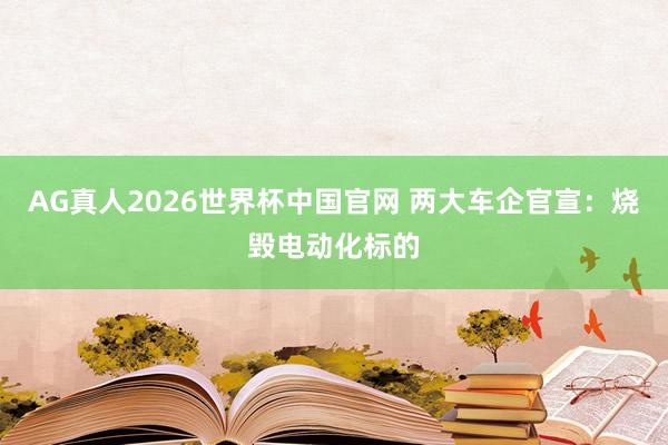 AG真人2026世界杯中国官网 两大车企官宣:烧毁电动化标的