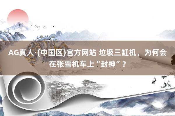 AG真人·(中国区)官方网站 垃圾三缸机,为何会在张雪机车上“封神”?