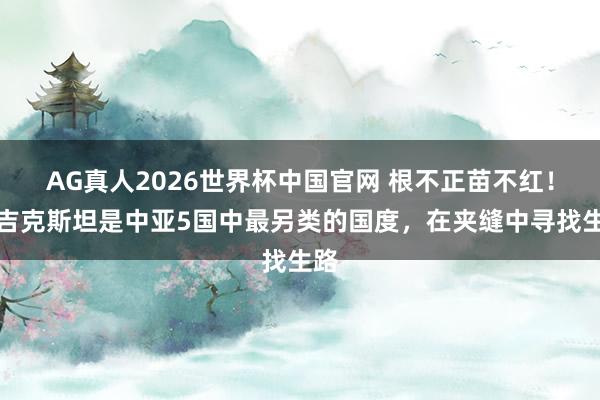AG真人2026世界杯中国官网 根不正苗不红!塔吉克斯坦是中亚5国中最另类的国度,在夹缝中寻找生路