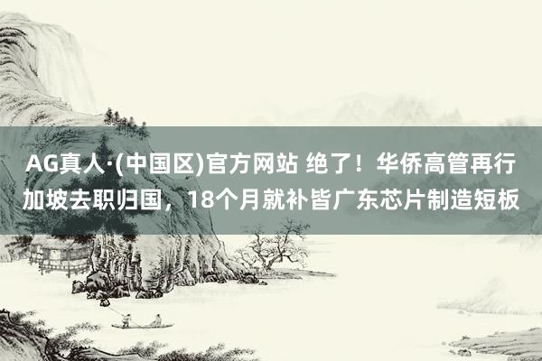 AG真人·(中国区)官方网站 绝了!华侨高管再行加坡去职归国,18个月就补皆广东芯片制造短板