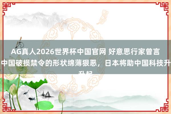 AG真人2026世界杯中国官网 好意思行家曾言:中国破损禁令的形状绵薄狠恶,日本将助中国科技升起
