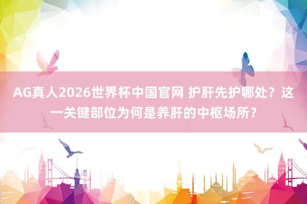 AG真人2026世界杯中国官网 护肝先护哪处?这一关键部位为何是养肝的中枢场所?