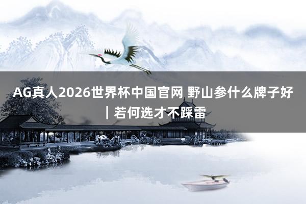 AG真人2026世界杯中国官网 野山参什么牌子好|若何选才不踩雷