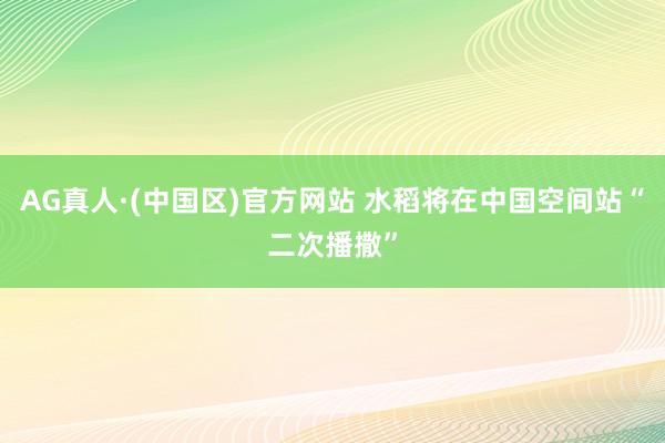 AG真人·(中国区)官方网站 水稻将在中国空间站“二次播撒”
