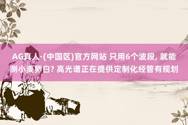 AG真人·(中国区)官方网站 只用6个波段, 就能测小麦卵白? 高光谱正在提供定制化经管有规划