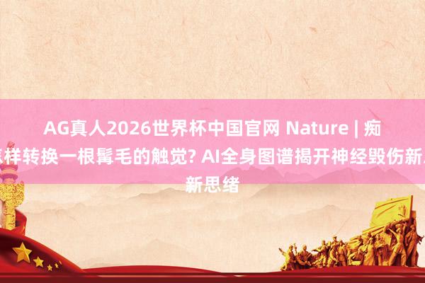 AG真人2026世界杯中国官网 Nature | 痴肥怎样转换一根髯毛的触觉? AI全身图谱揭开神经毁伤新思绪
