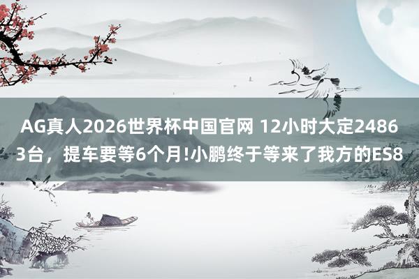 AG真人2026世界杯中国官网 12小时大定24863台,提车要等6个月!小鹏终于等来了我方的ES8