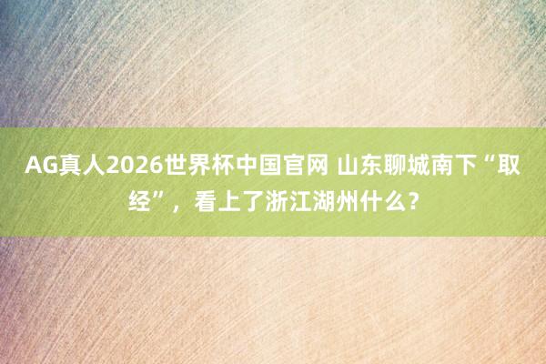 AG真人2026世界杯中国官网 山东聊城南下“取经”,看上了浙江湖州什么?
