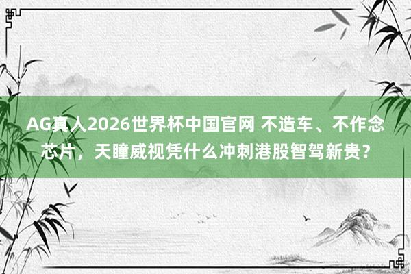 AG真人2026世界杯中国官网 不造车、不作念芯片,天瞳威视凭什么冲刺港股智驾新贵?
