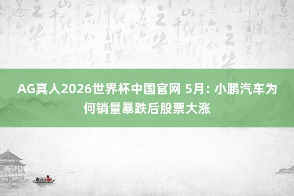 AG真人2026世界杯中国官网 5月: 小鹏汽车为何销量暴跌后股票大涨
