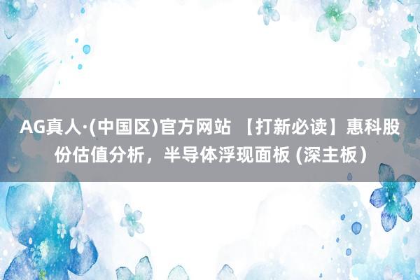 AG真人·(中国区)官方网站 【打新必读】惠科股份估值分析,半导体浮现面板 (深主板)