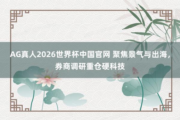 AG真人2026世界杯中国官网 聚焦景气与出海,券商调研重仓硬科技