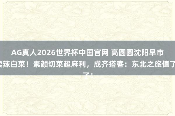 AG真人2026世界杯中国官网 高圆圆沈阳早市卖辣白菜!素颜切菜超麻利,成齐搭客:东北之旅值了!