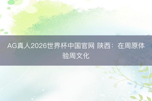 AG真人2026世界杯中国官网 陕西:在周原体验周文化
