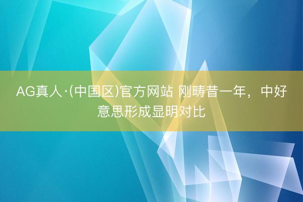 AG真人·(中国区)官方网站 刚畴昔一年,中好意思形成显明对比